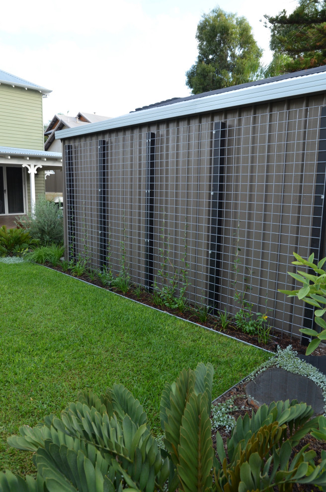 Mittelgroße Moderne Pflanzenwand im Sommer, hinter dem Haus mit direkter Sonneneinstrahlung und Natursteinplatten in Perth