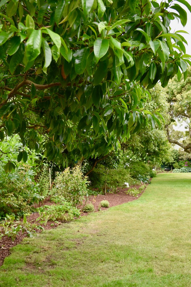 Пример оригинального дизайна: большой участок и сад на заднем дворе в классическом стиле с полуденной тенью