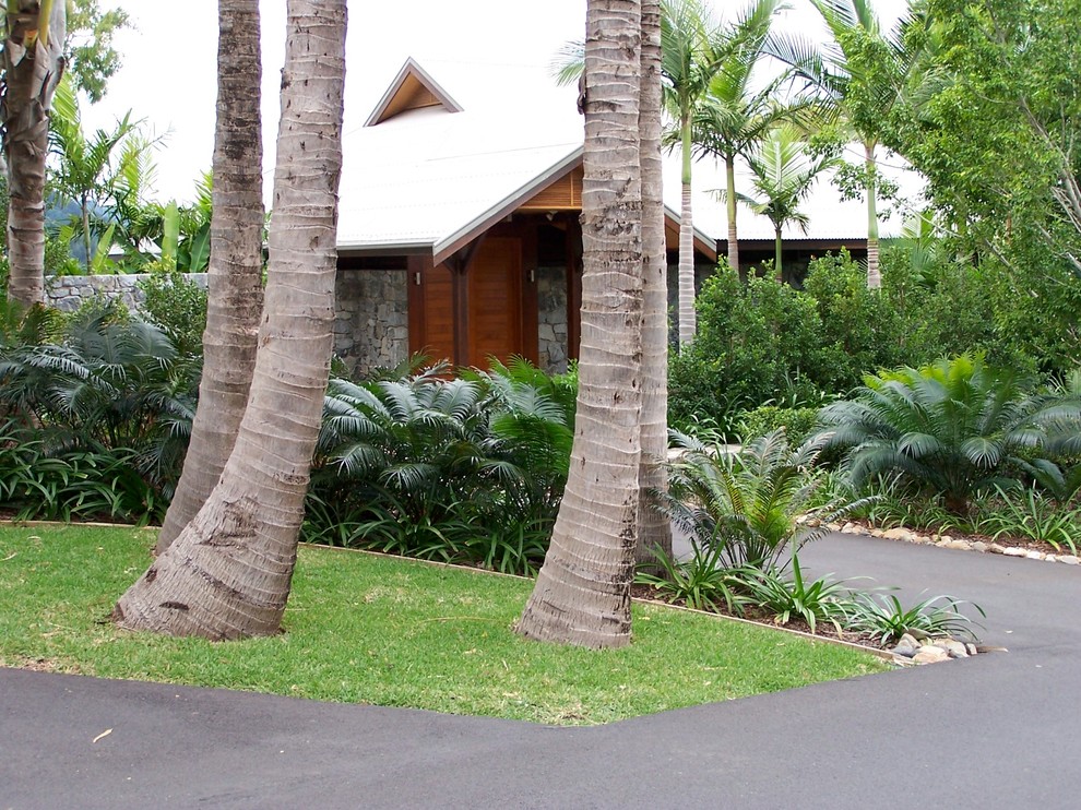 Inspiration for a medium sized world-inspired driveway partial sun garden in Townsville.