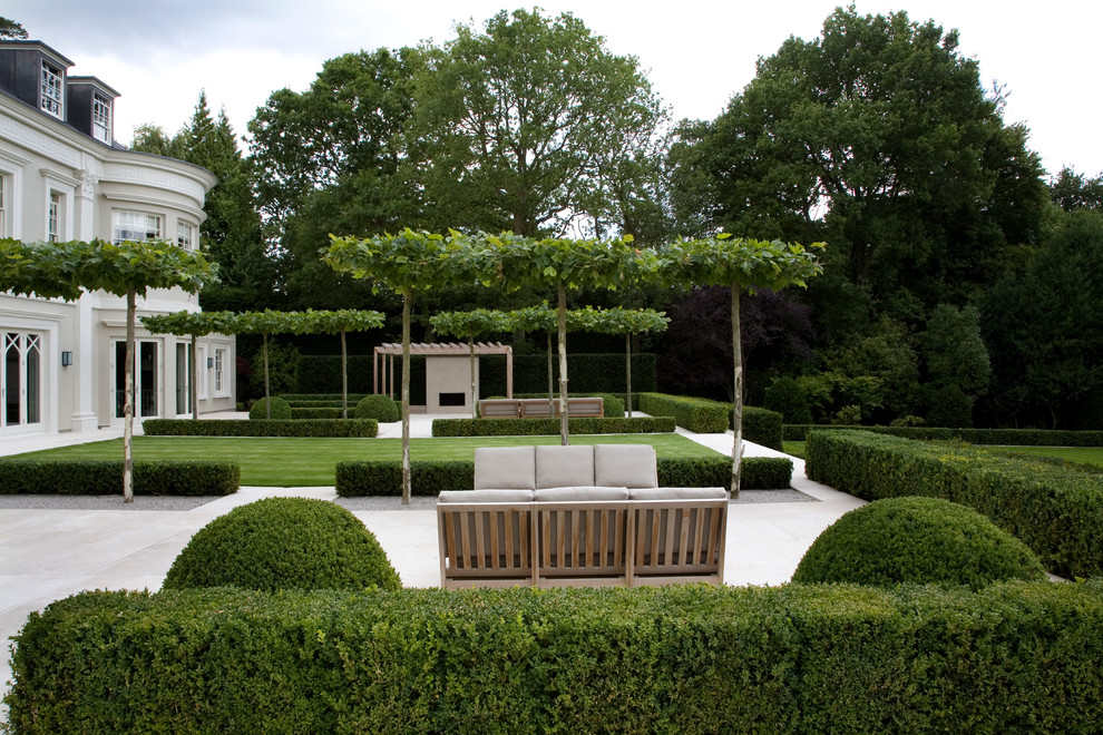 Contemporary garden in Surrey.