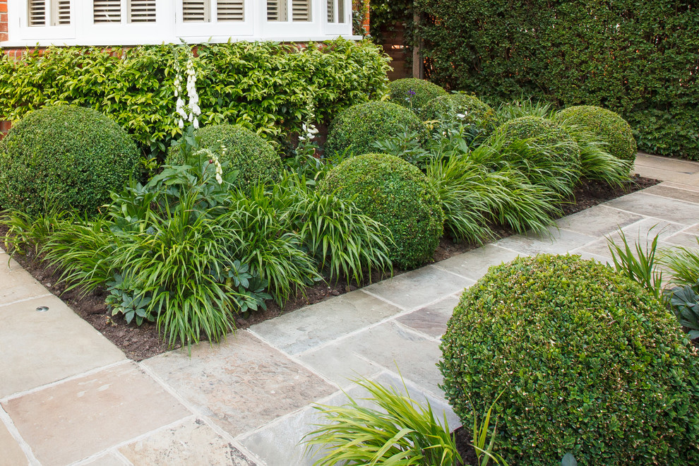 Classic front formal partial sun garden for summer in London with natural stone paving.