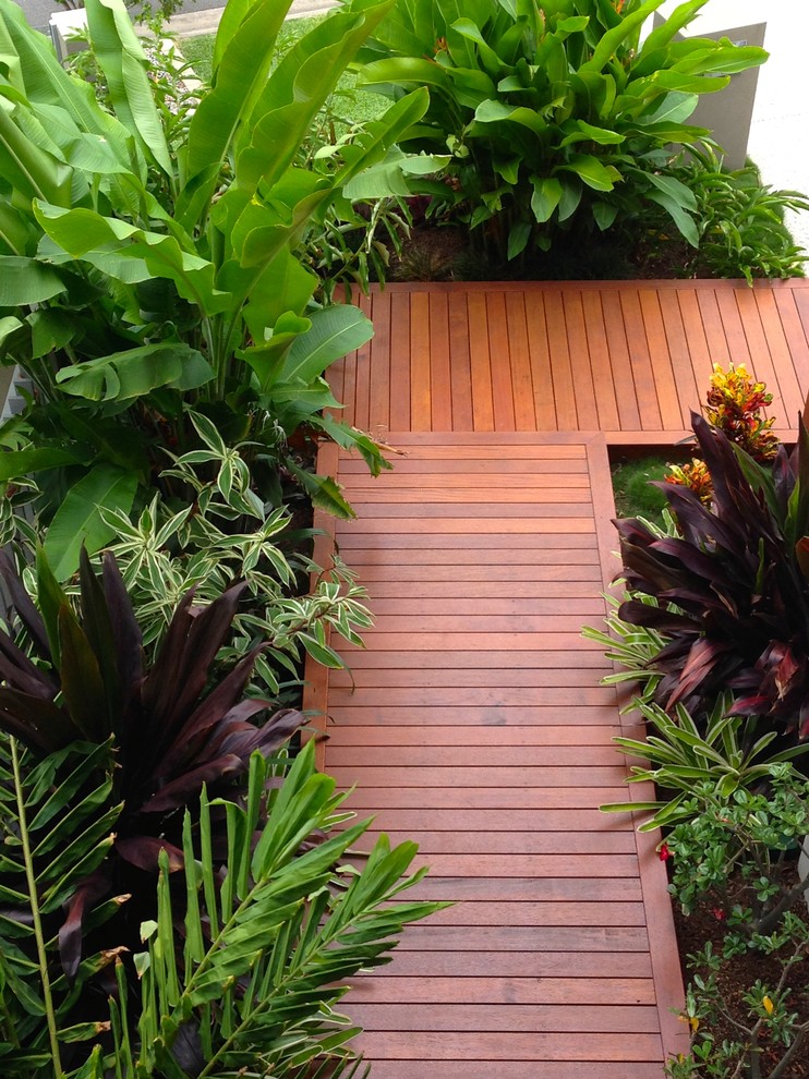 Small world-inspired front garden in Brisbane with decking.