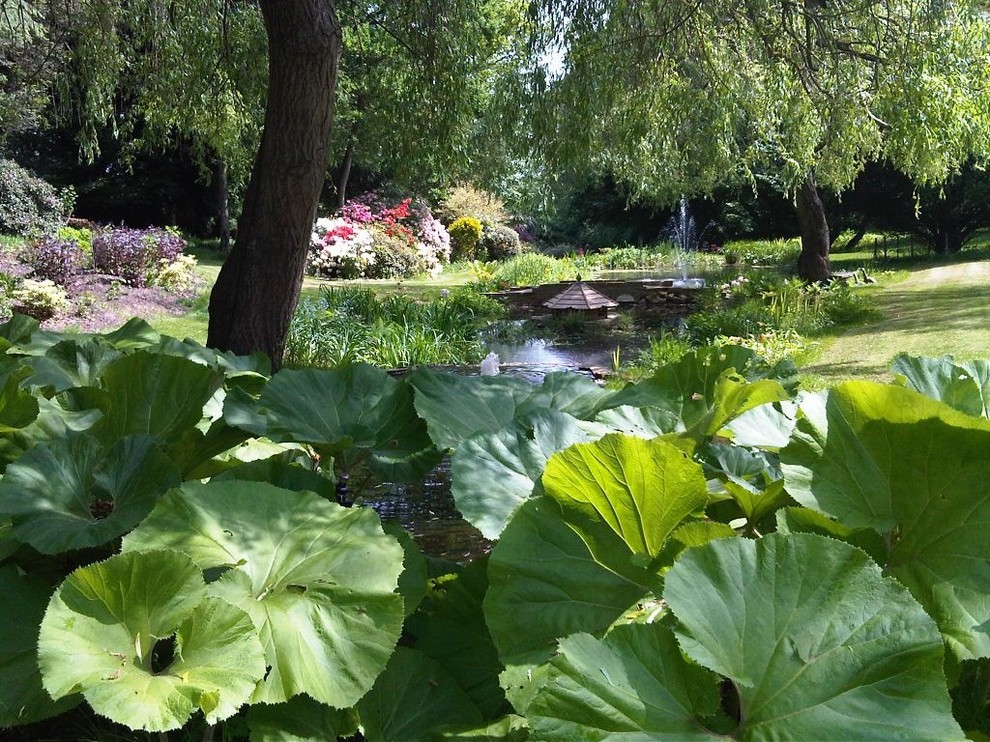 Classic garden in Buckinghamshire.