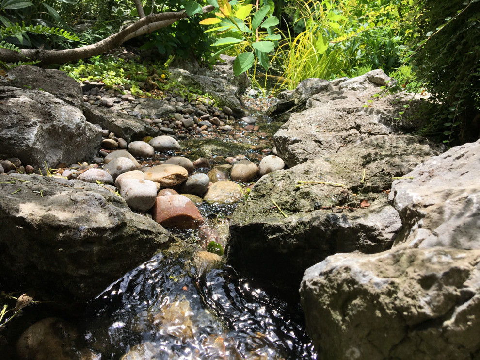 Cette photo montre un petit jardin arrière montagne l'été avec une cascade, une exposition partiellement ombragée et des pavés en pierre naturelle.