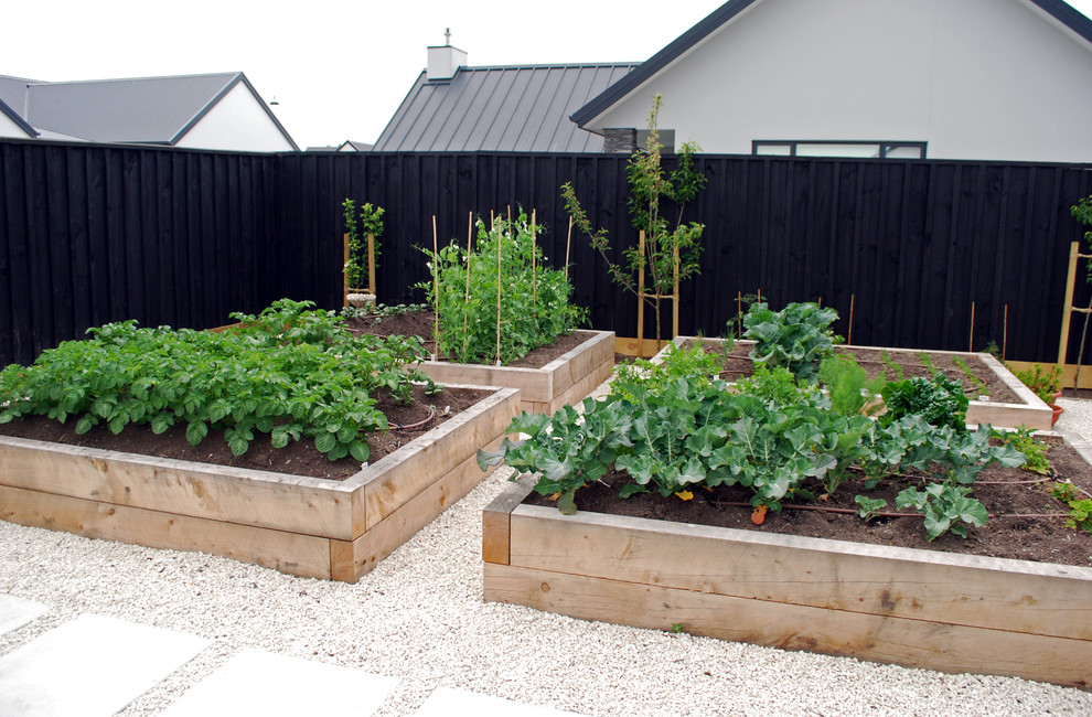Design ideas for a large eclectic full sun backyard vegetable garden landscape in Christchurch.