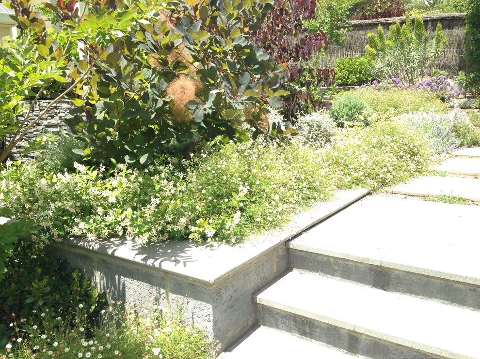Immagine di un giardino mediterraneo esposto a mezz'ombra di medie dimensioni e davanti casa in primavera con un muro di contenimento e pavimentazioni in pietra naturale