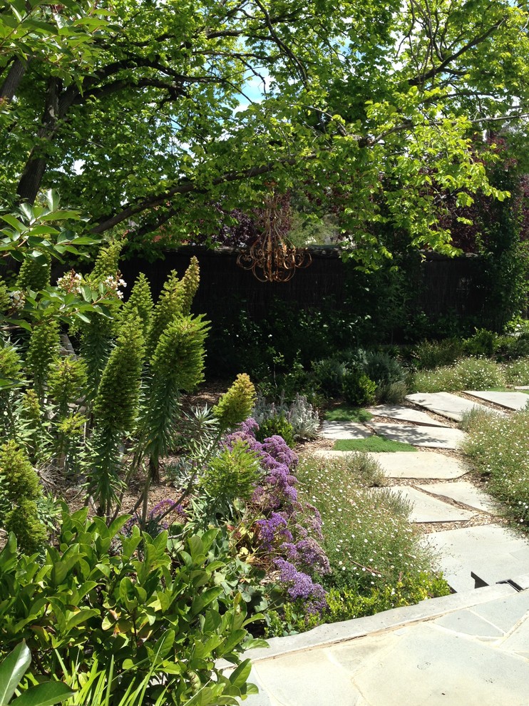 Mittelgroßer, Halbschattiger Mediterraner Garten im Frühling mit Natursteinplatten in Adelaide