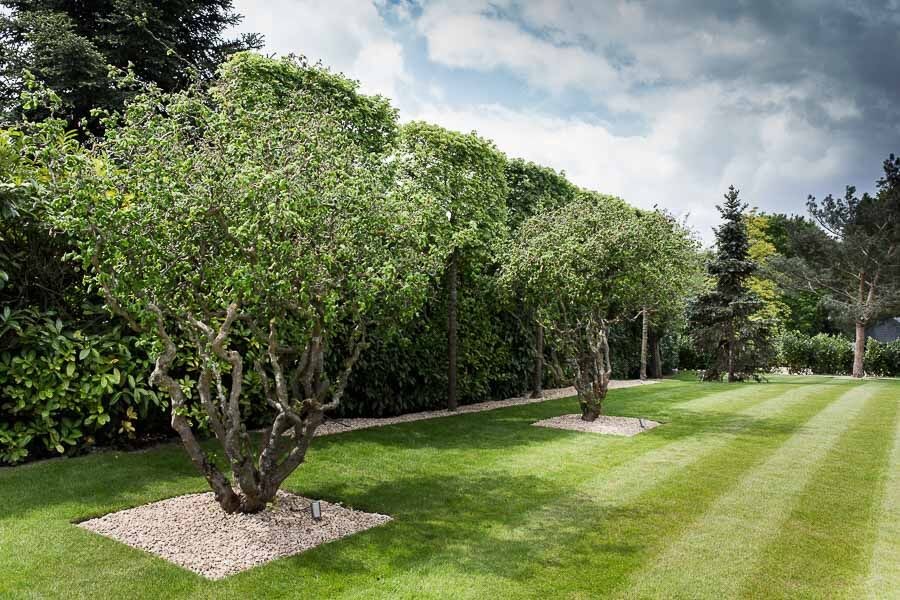 Inspiration for a classic garden in Buckinghamshire.