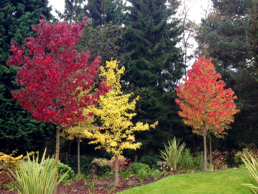 Inspiration for a traditional back garden for autumn in Buckinghamshire.