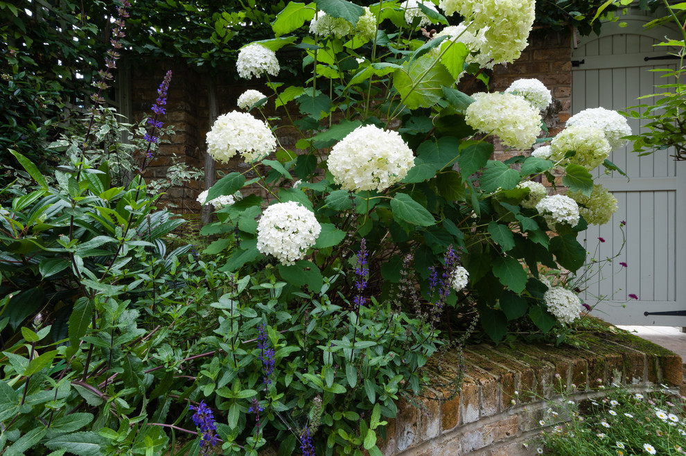 Inspiration for a small traditional landscaping in London.