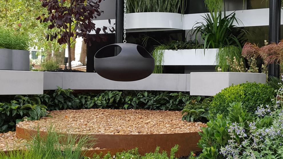 Design ideas for a small contemporary courtyard landscaping in Sydney.