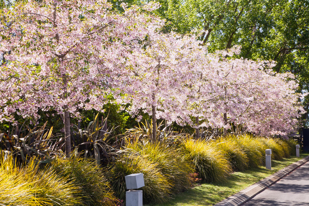 WHITFORD ESTATE Landscape Auckland by Greenwood Associates Houzz