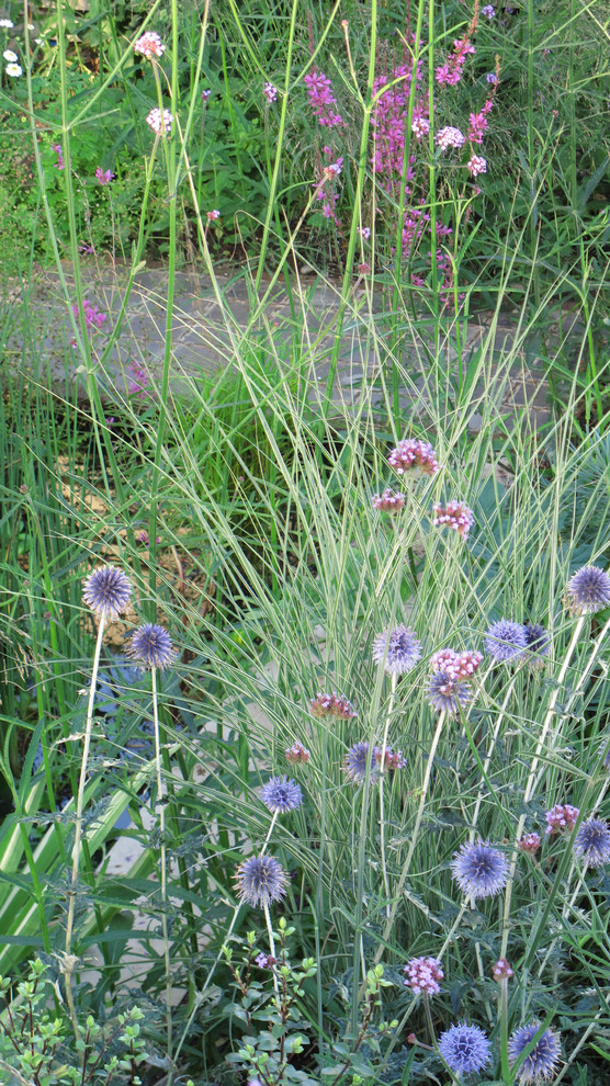 Wildlife Friendly Front Garden Klassisch Garten London von