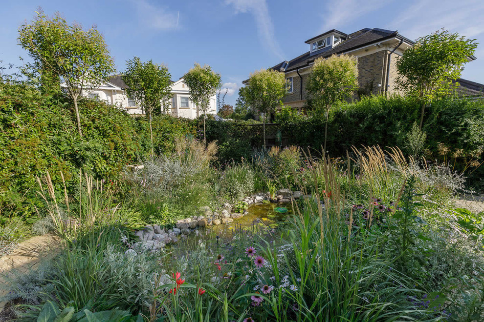 Cette photo montre un jardin arrière nature de taille moyenne avec un bassin et des pavés en pierre naturelle.