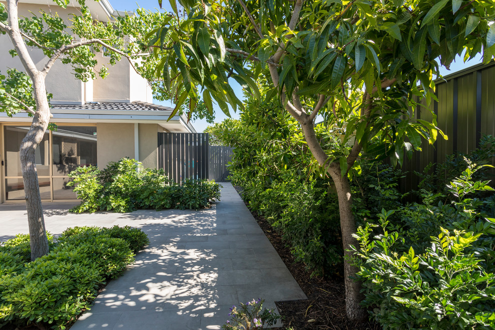 Idee per un piccolo giardino formale tropicale esposto a mezz'ombra in cortile con pavimentazioni in pietra naturale