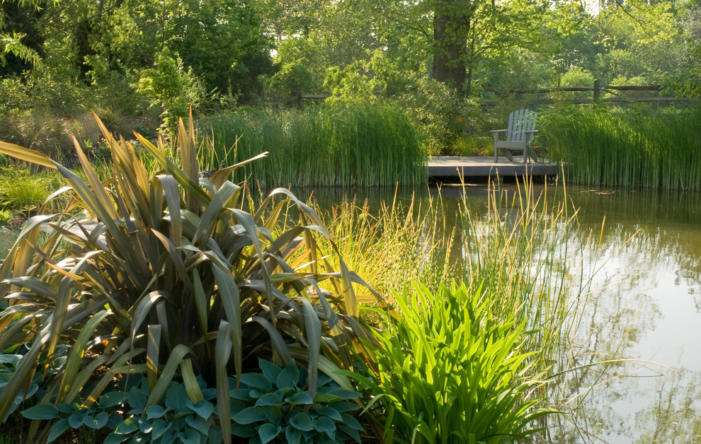 Inspiration for a large rustic back partial sun raised pond for summer in Sussex with a water feature and decking.