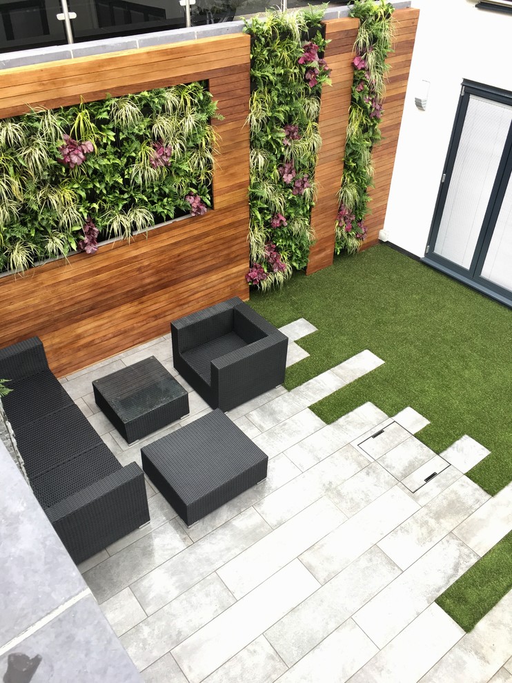 Diseño de jardín contemporáneo de tamaño medio en patio con jardín vertical y exposición total al sol