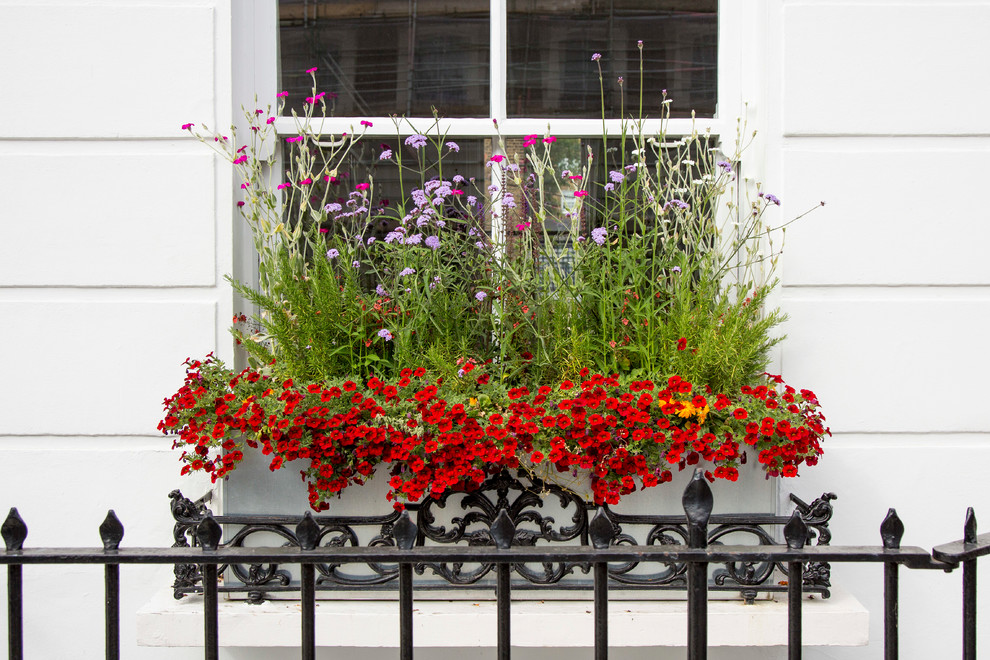 Design ideas for a contemporary garden path in London.