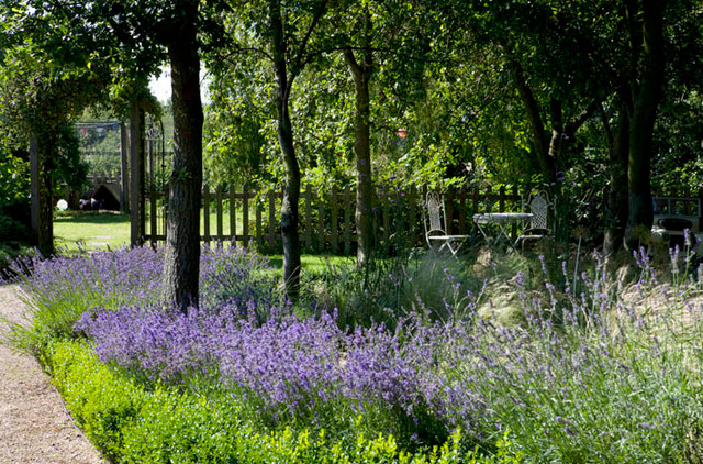 Woodcote garden - Traditional - Garden - London - by Joanne Winn Garden