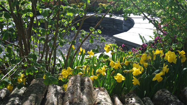 Esempio di un piccolo giardino classico in ombra dietro casa in primavera con ghiaia