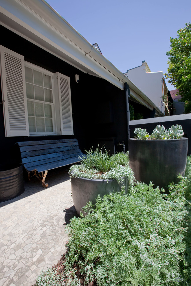 Свежая идея для дизайна: маленький солнечный участок и сад на переднем дворе в современном стиле с растениями в контейнерах и хорошей освещенностью для на участке и в саду - отличное фото интерьера