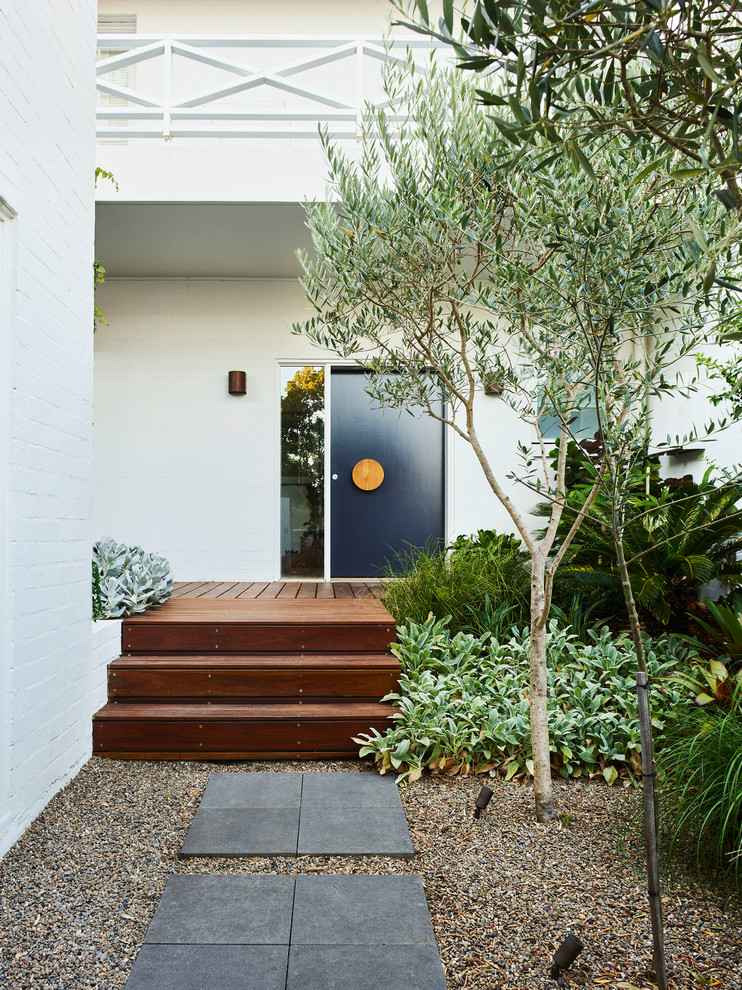 Mittelgroßer, Geometrischer Moderner Garten im Innenhof in Sydney