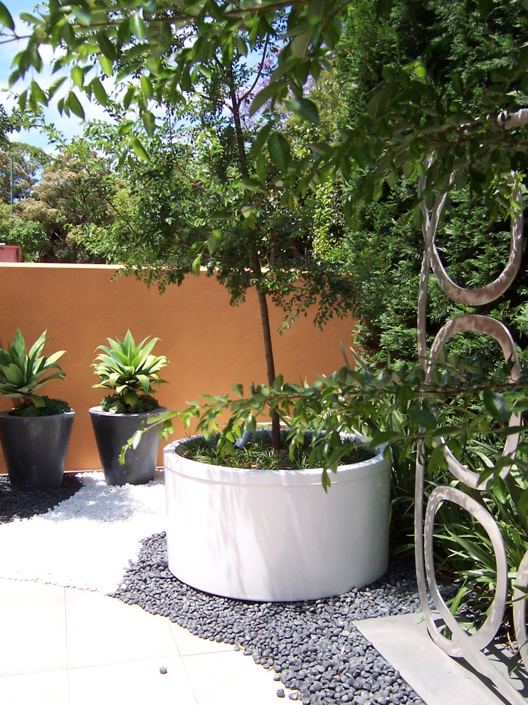Halbschattiger Moderner Garten im Frühling, hinter dem Haus mit Sportplatz und Natursteinplatten in Sydney