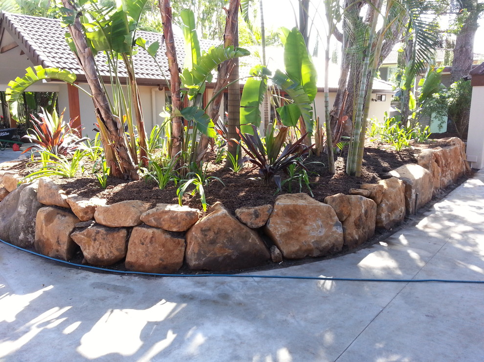 Design ideas for a tropical landscaping in Brisbane.
