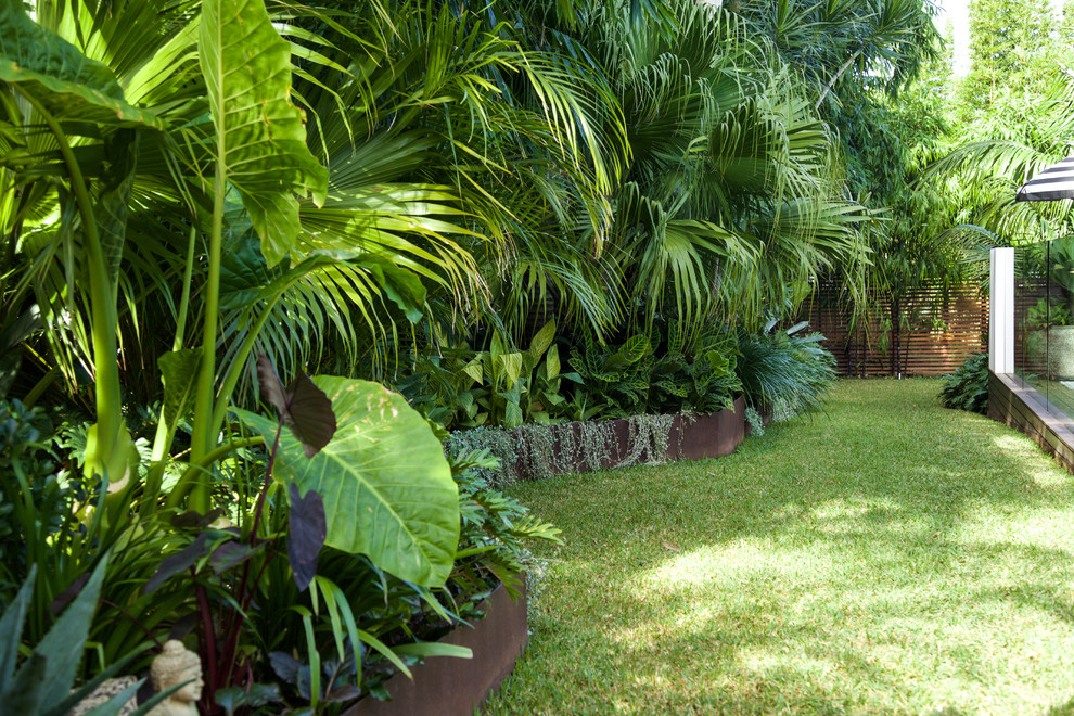 Esempio di un giardino tropicale