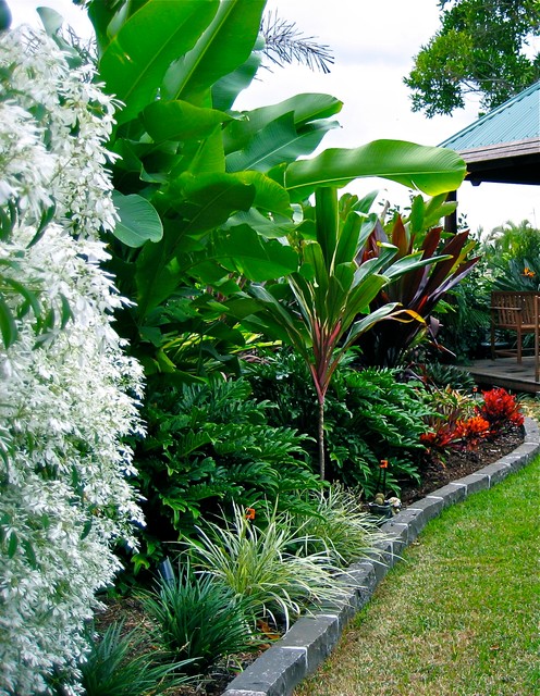 tropical garden ideas brisbane