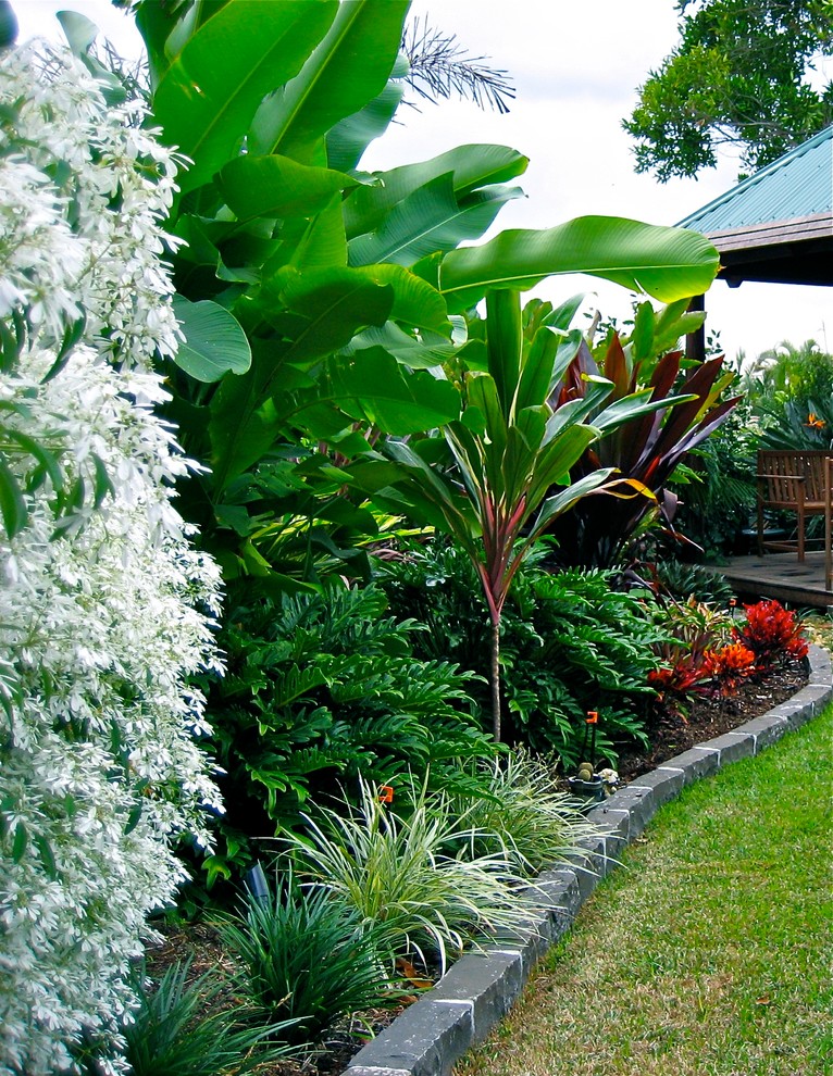 Foto di un giardino tropicale esposto in pieno sole