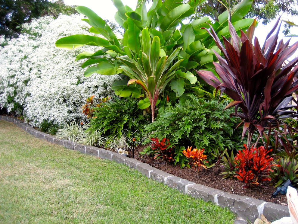 Design ideas for a tropical full sun landscaping in Brisbane.