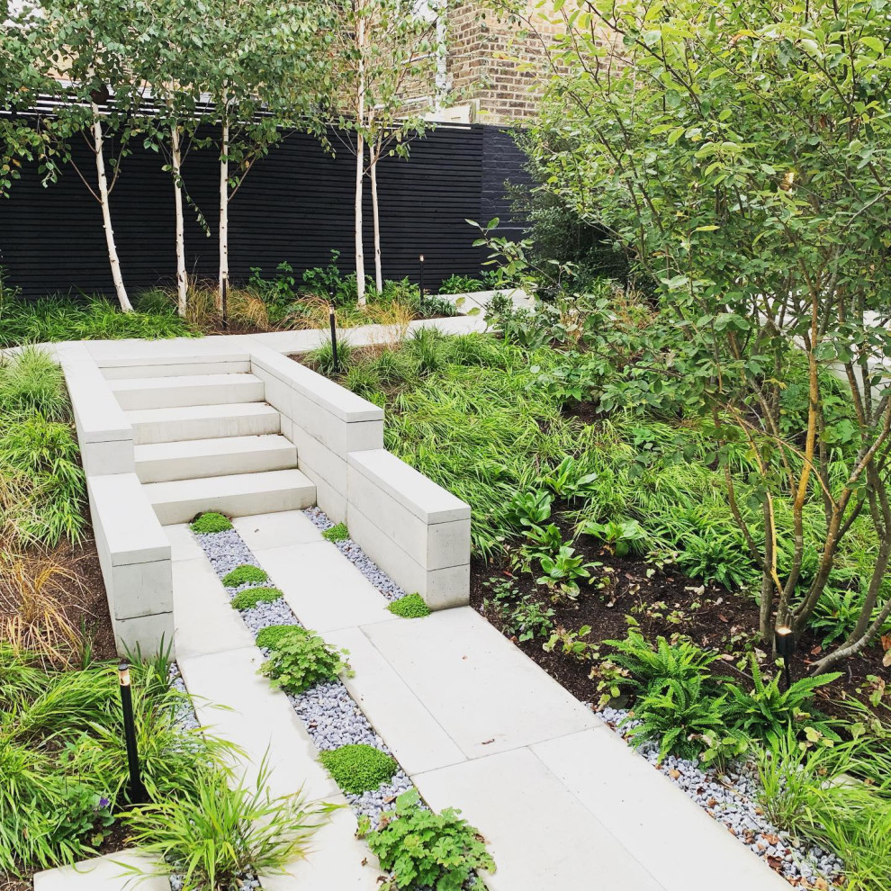 Esempio di un piccolo giardino minimal in cortile con pavimentazioni in cemento