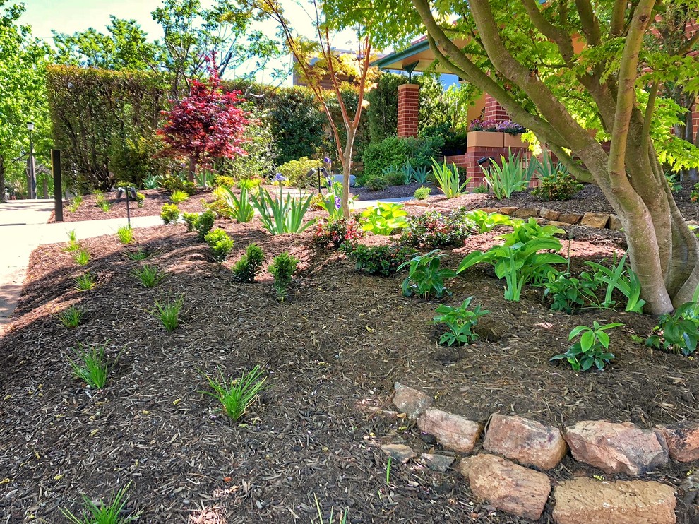 Yarralumla Front Garden Revamp Traditional Landscape Canberra