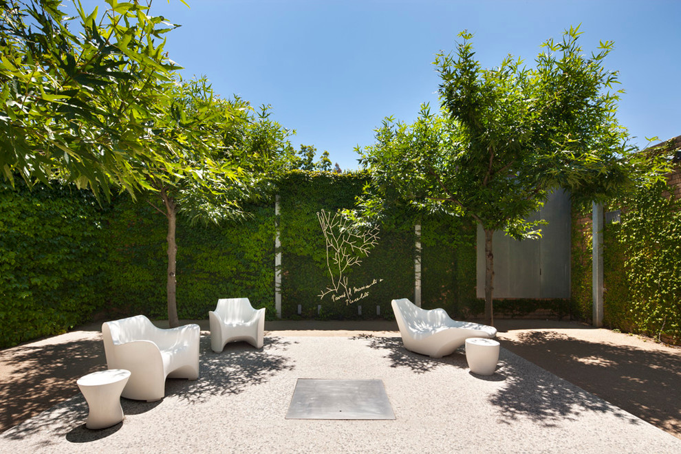 Zinc House, Carlton Modern Landscape Melbourne by PTA