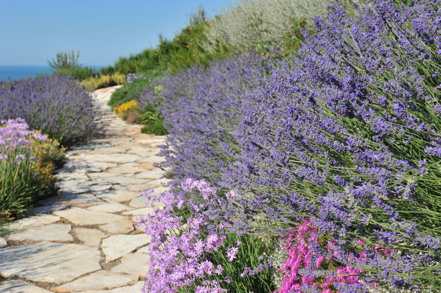 Photo of a mediterranean full sun hillside stone landscaping in Other for summer.