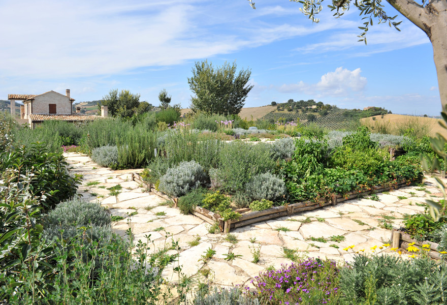 Idee per un giardino mediterraneo esposto in pieno sole in estate con un pendio, una collina o una riva e pavimentazioni in pietra naturale