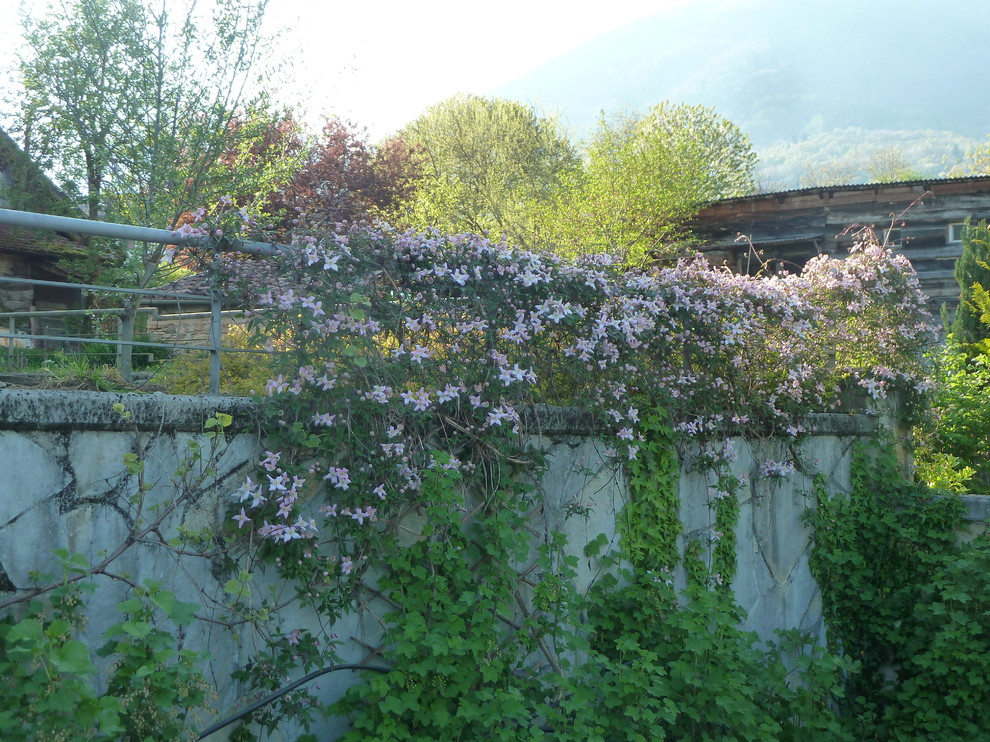 Modelo de jardín mediterráneo de tamaño medio en verano en patio delantero con muro de contención, exposición parcial al sol y adoquines de hormigón