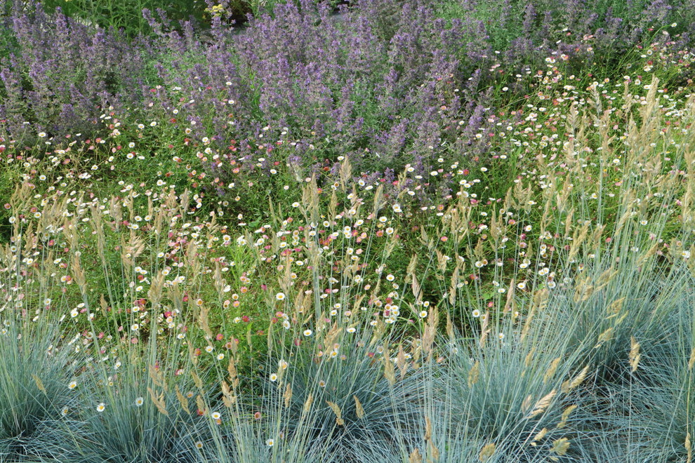 Пример оригинального дизайна: большой солнечный засухоустойчивый сад на переднем дворе в средиземноморском стиле с хорошей освещенностью и покрытием из гравия