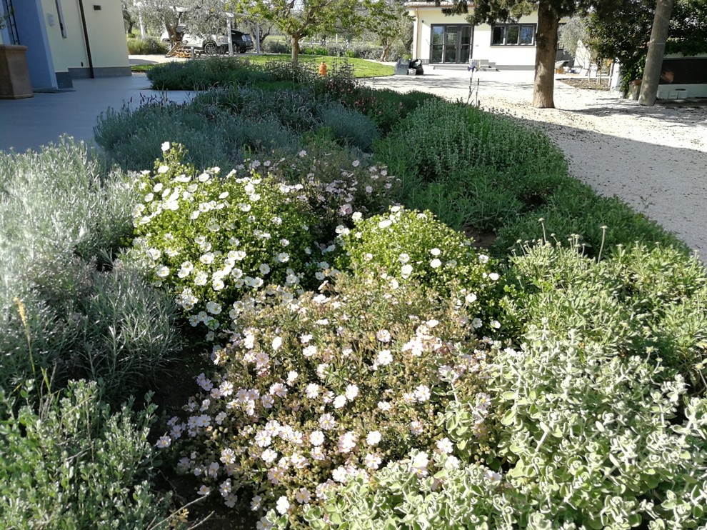 Immagine di un giardino xeriscape contemporaneo esposto in pieno sole di medie dimensioni