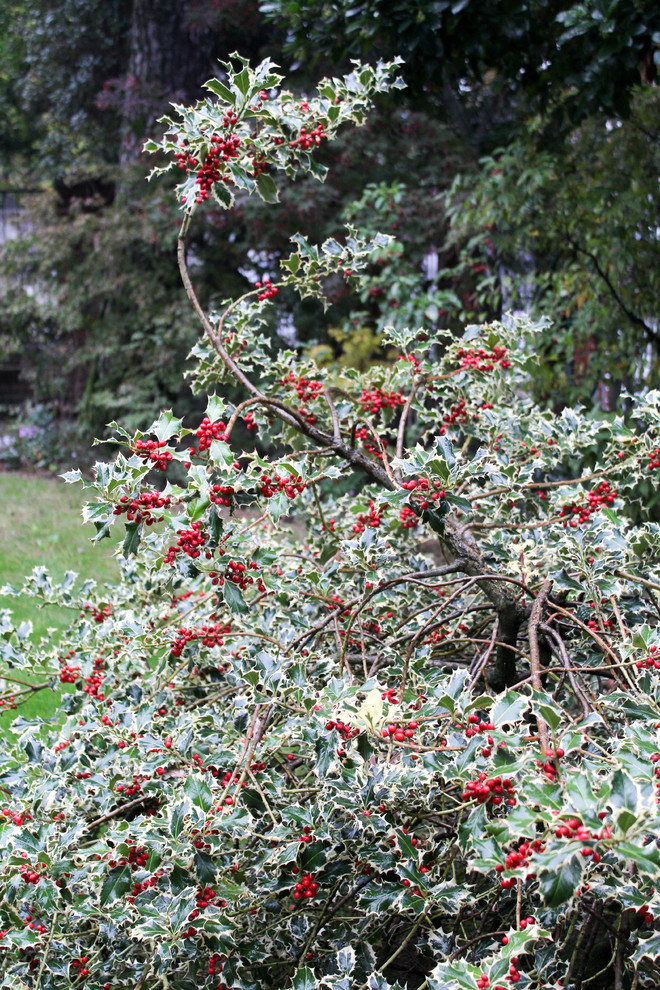 Esempio di un giardino country