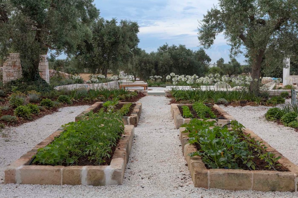 バーリにある地中海スタイルのおしゃれな庭の写真
