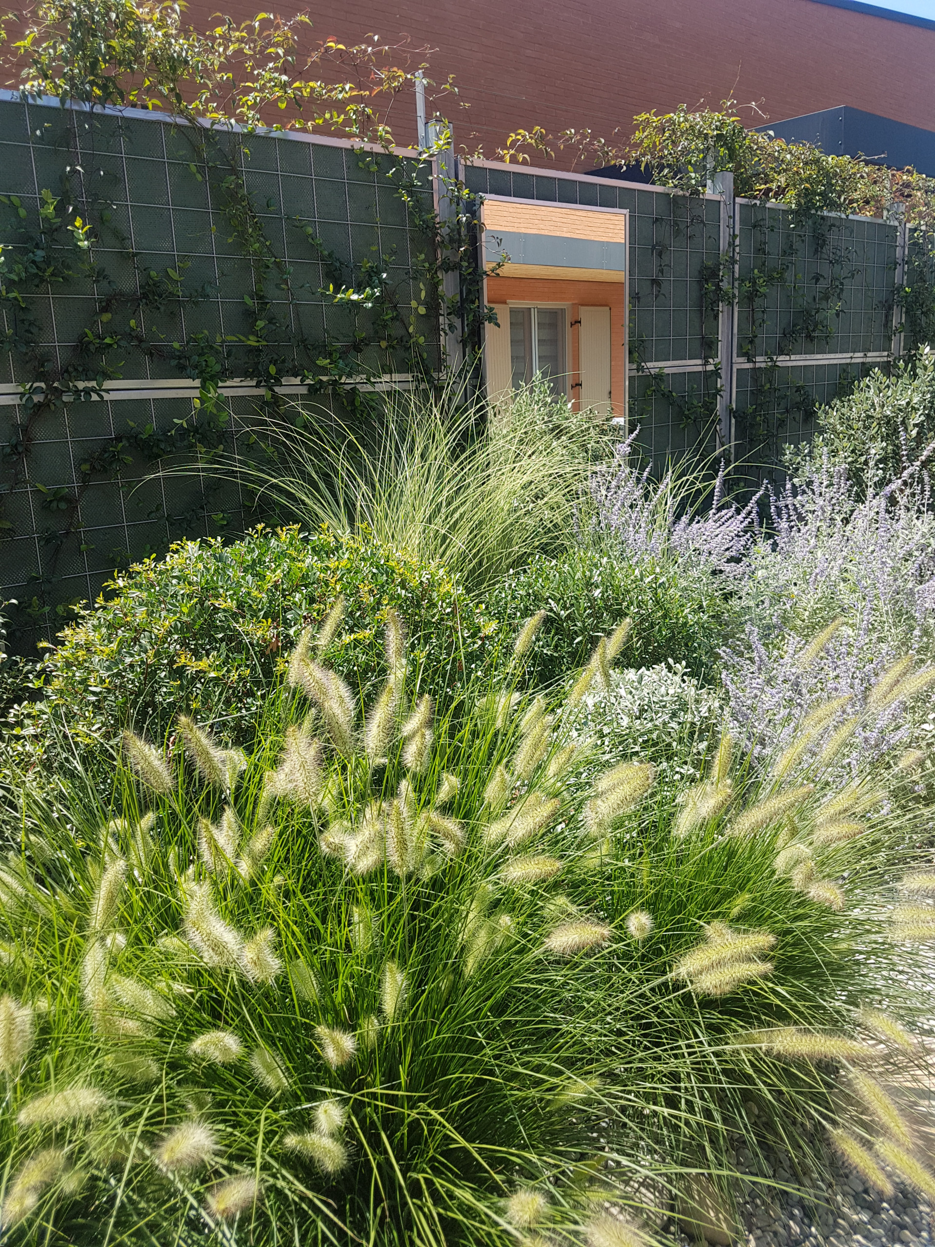 springhetti custom outdoor living on 75 Beautiful Privacy Landscaping Pictures Ideas March 2021 Houzz