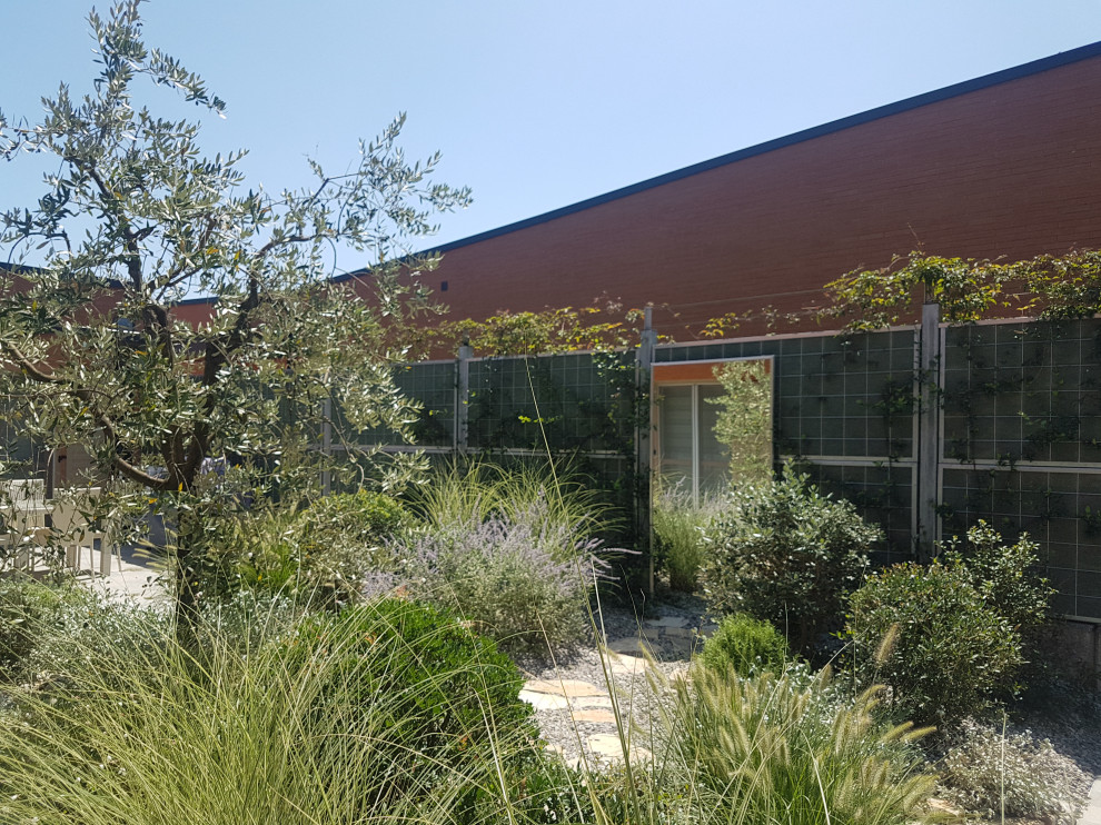 Imagen de jardín de secano mediterráneo pequeño en verano en patio trasero con privacidad, exposición total al sol y gravilla