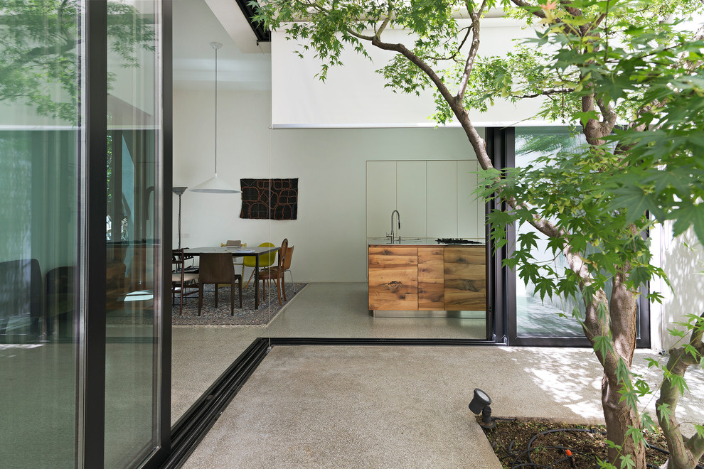 Idee per un giardino minimalista esposto a mezz'ombra di medie dimensioni e nel cortile laterale in primavera con un giardino in vaso