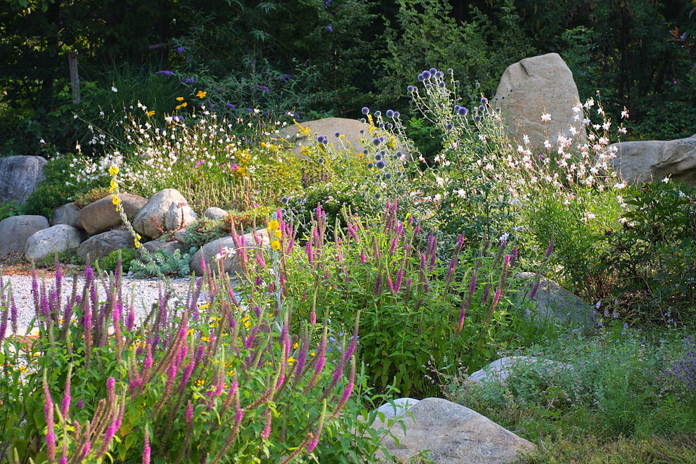 Réalisation d'un jardin champêtre de taille moyenne et l'été avec une exposition ensoleillée et du gravier.