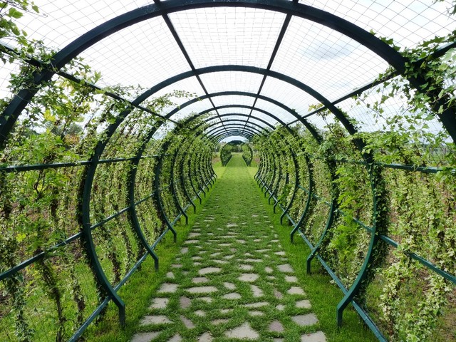 Toscana, tunnel verde Landhausstil Garten Rom von Avant Garden