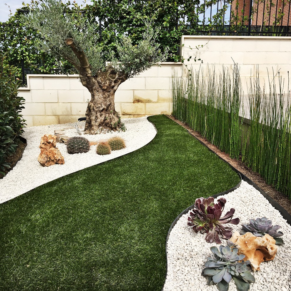 Ispirazione per un giardino xeriscape contemporaneo esposto in pieno sole di medie dimensioni e davanti casa