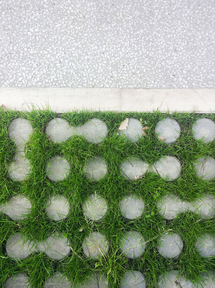 Immagine di un giardino minimalista esposto in pieno sole di medie dimensioni e davanti casa in estate con pavimentazioni in cemento