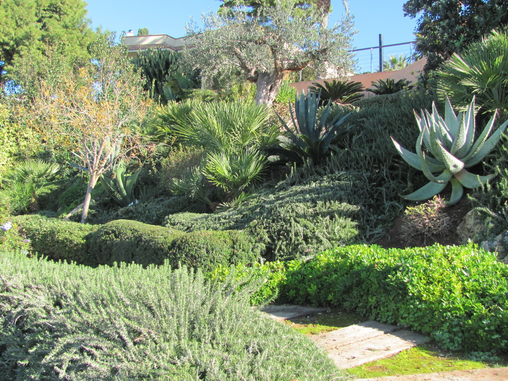 This is an example of a mediterranean landscaping in Other.